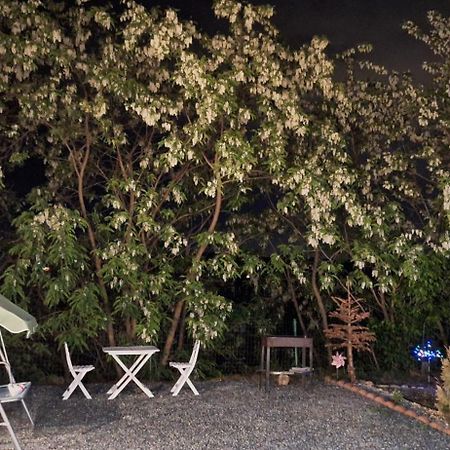 Cabana Oprisor Ocna Sibiului Exterior foto