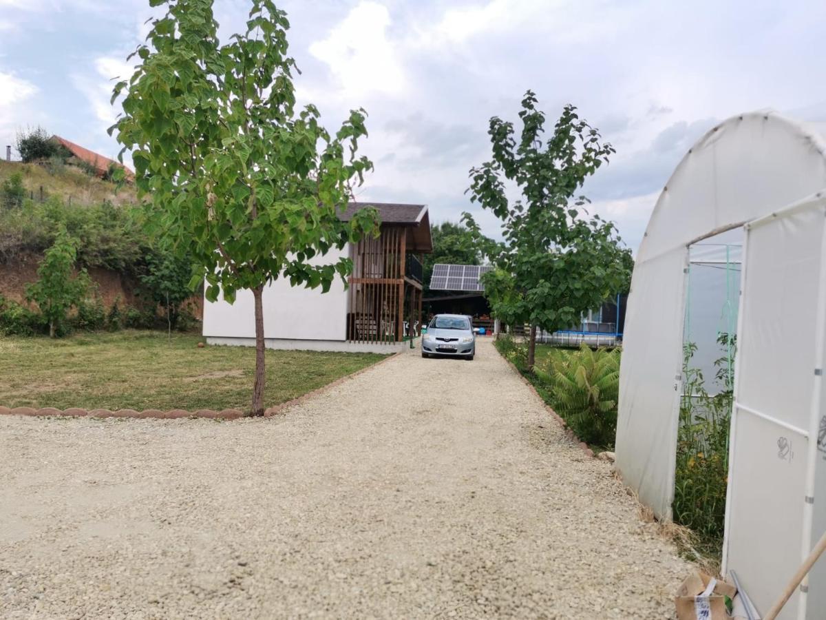 Cabana Oprisor Ocna Sibiului Exterior foto